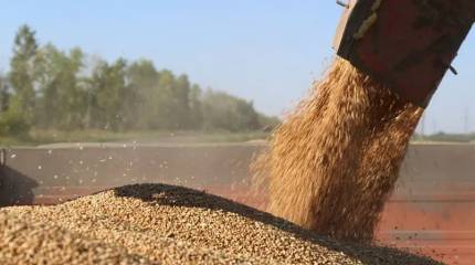 Евросоюз решил не продлевать беспошлинный ввоз аграрной продукции из Украины