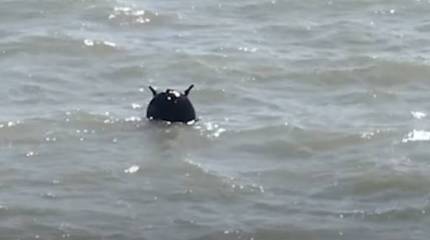 Вспомогательный корабль ВМС Румынии подорвался на дрейфующей украинской мине в Черном море