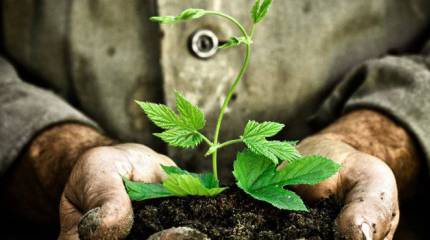 Под шумок Китай скупает Украину?