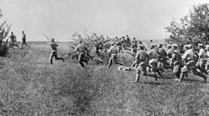 Первая ядовитая. Часть 2. Ни шагу назад