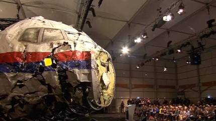 Захарова отреагировала на внесение голландским следствием фамилии Шойгу в дело MH17