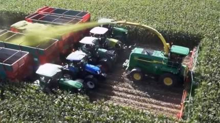 Генетически модифицированная пища. Что ест человечество