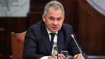 Что продаём Египту. Шойгу рассказал