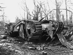 For which they fought in the First World War