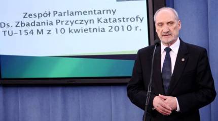 "А где берёза?.."