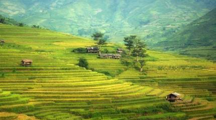 Россия и Китай: мир, война, сотрудничество, экспансия. Нужное подчеркнуть