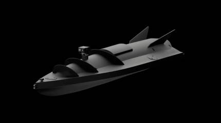 В РФ заявили о подготовке Украины и Норвегии к ударам по российским судам