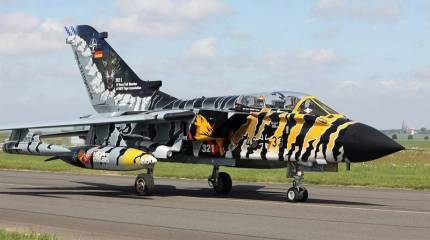 Только "тигриные" эскадрильи. В Польше стартовали летные учения НАТО Tiger Meet