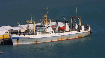 Украина продаст последние 4 океанских судна, остающиеся на госбалансе