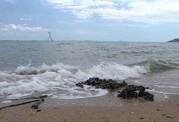 Chinese patrol vessels entered the zone of the disputed Senkaku Islands