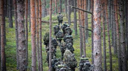 Надежда на гражданское сопротивление и «партизан»: польский обозреватель заявил, что Литва готовится к «возможному нападению» России