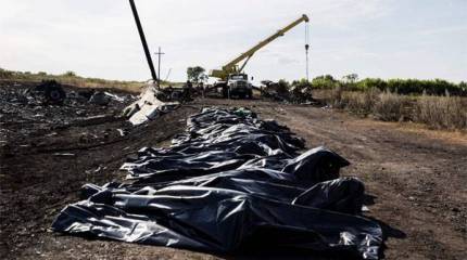 Минобороны: От расследования по малайзийскому лайнеру за версту несёт СБУ