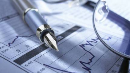 «Ни одна развитая экономика мира не миновала стадию протекционизма»