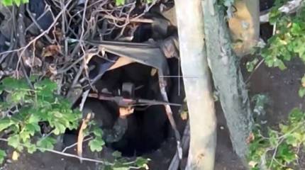 Минобороны показало кадры взятия штурмовиками ВДВ опорного пункта ВСУ на Артемовском направлении