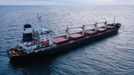 В Киеве призвали НАТО защитить зерновой коридор в Черном море