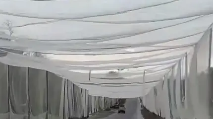 Первый же снег разрушил антидроновые тоннели ВСУ в Херсоне