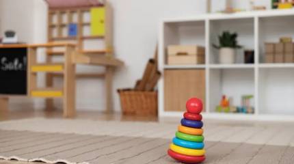 В Хабаровске заведующая детским садом и инструктор уволились после вручения детям грамот с украинским гербом