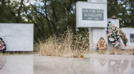 После Дня Победы, трава, расти!