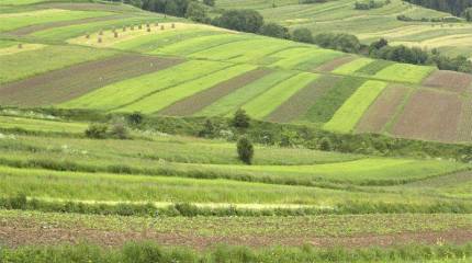 Церемония перезахоронения погибших бойцов Красной Армии прошла в польском городе Новы-Сонч