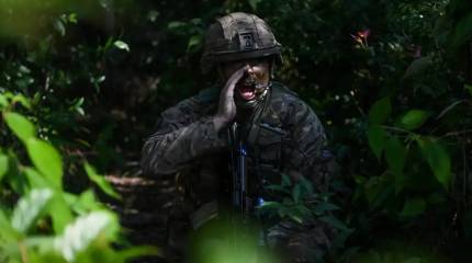 Английский юмор: Британия отправит на помощь Гренландии одного военнослужащего