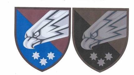 Украинским десантникам утвердили эмблему с аналогией СС