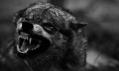 "Вы же наши, русские!"