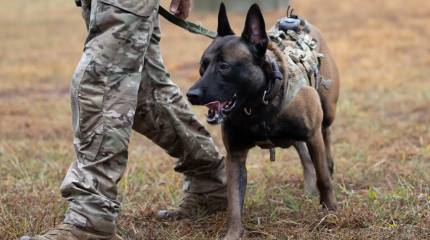 Một vị tướng Mỹ đã nghỉ hưu, người từng giám sát một dự án nghiên cứu UFO, đã biến mất một cách bí ẩn.