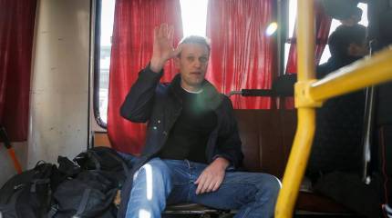 Политическая педофилия как новый тренд борцов с режимом