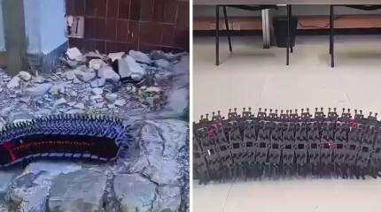 В Италии создан робот-гусеница: военные рассматривают как вариант ползучей мины
