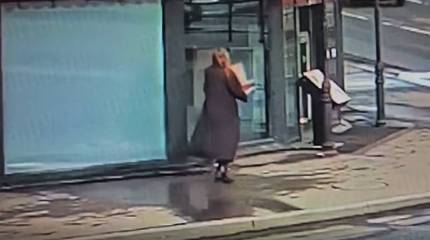 Определена подозреваемая в совершении теракта в кафе на Васильевском острове Санкт-Петербурга