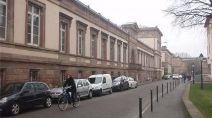 Страсбургский анатомический институт СС. Дно немецкой науки