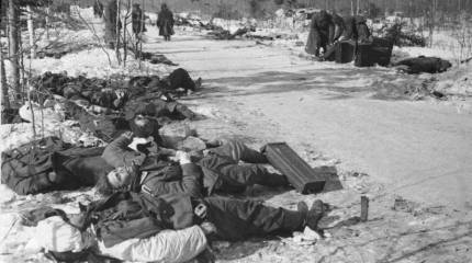 О потерях в Великой Отечественной. Ещё раз и с ненавистью