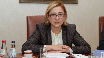 Глава грузинского МИД: Россия должна заплатить за то, что она натворила в Грузии и на Украине