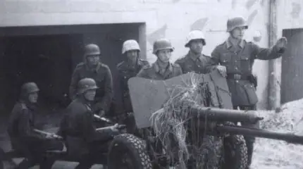 Чешские противотанковые, горные и полевые орудия в вооруженных силах нацистской Германии