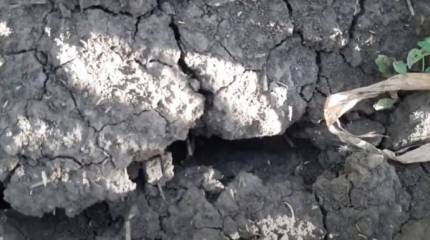 Американские эксперты: Падение производительности труда в США из-за небывалой жары принесёт убытки более чем в 100 млрд долларов