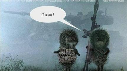 Ёжик в тумане. Постмайданная версия