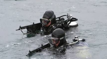 В ВМФ появятся мобильные подразделения боевых пловцов
