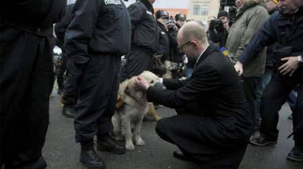 Яценюк предлагает продать 1 млн га украинской земли "на прозрачном" аукционе