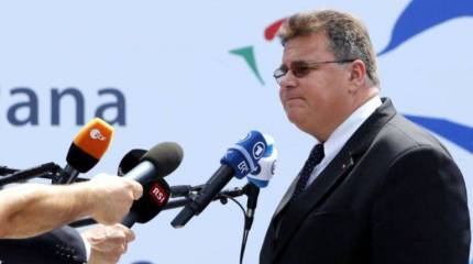 МИД Литвы: помощь НАТО Украине ограничится пока консультациями и финансовыми вливаниями