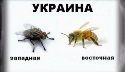 Почему Украина — недогосударство и геополитическое убожество?