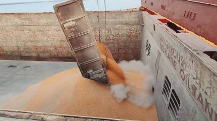 Западная пресса: Индия ведет переговоры с Россией о заключении крупнейшей в истории зерновой сделки