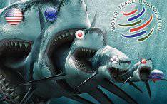 Куда ВТОлкнули российскую экономику