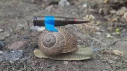 «Немецкая помощь уже на пути к нам» - посол Украины в ФРГ фотографией с улиткой позволил очередной выпад в адрес Берлина