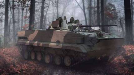 "Рыси" и "Коршуны" вместо "Тигров"?