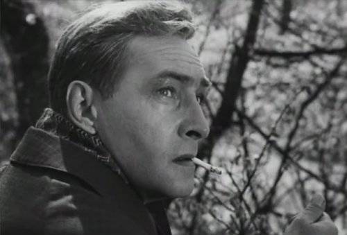 Историческая сенсация рассекречены материалы о Брайтенбахе