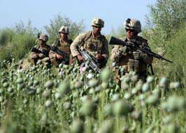 아프가니스탄에서 미군의 침공은 세계 마약 마피아에 의해 로비가 되었습니까?
