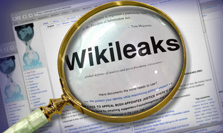 Wikileaks aufdecken: Expertenmeinungen
