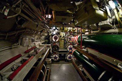 Дуэль с электрическим скатом