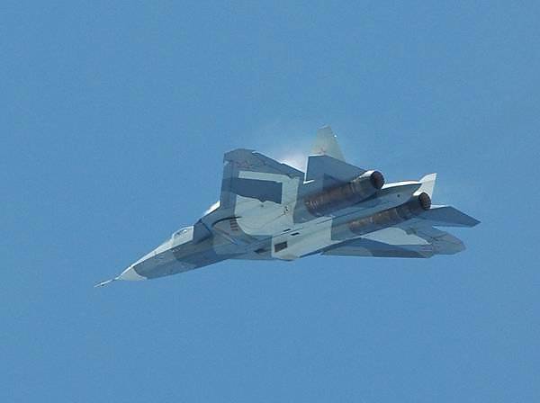 PAK FA demonstrated its flight qualities of the delegation of the Ministry of Defense of India