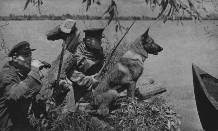 The legend about the battle of 150 border dogs with the Nazis. And Hitler's arrival in Ukraine in 1941